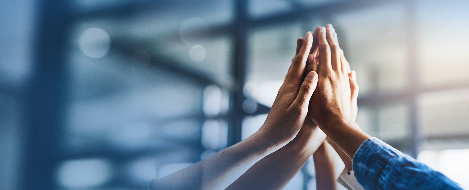 人(ren)才(cai)培養